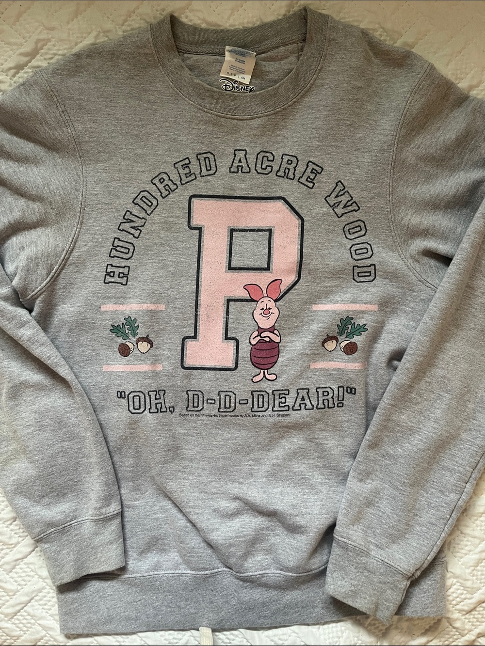 Disney Piglet Hundred Acre Wood P Graphic